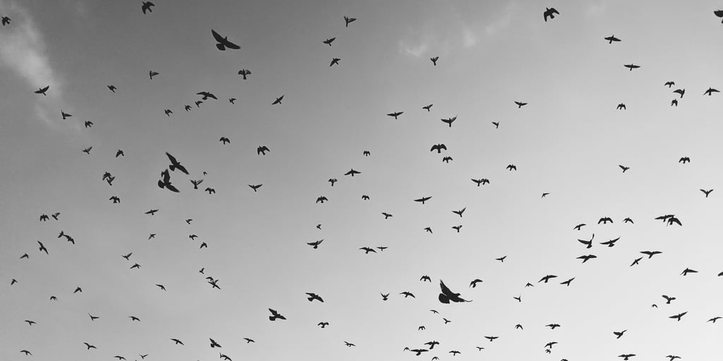Agile Data Engine Blog by Taha Gad